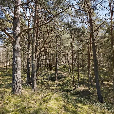 4739-aakirkeby-boderne-86 Åkirkeby